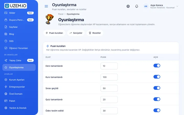 Oyunlaştırma puan kuralları